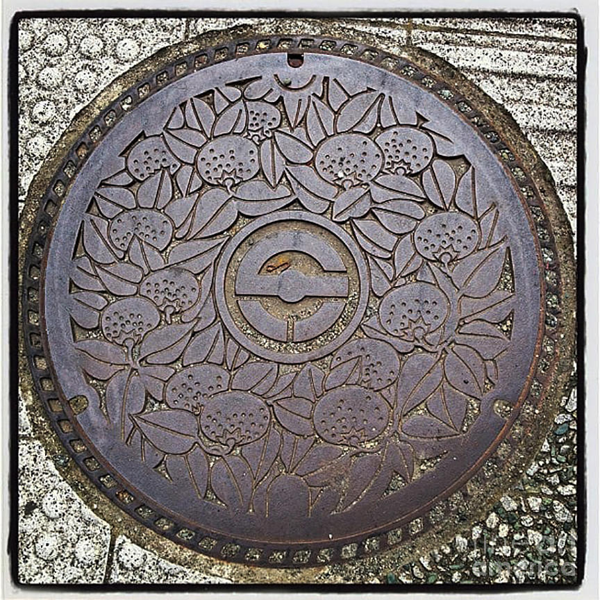 Japan Manhole Covers - 9 Photograph by David Bearden - Fine Art America
