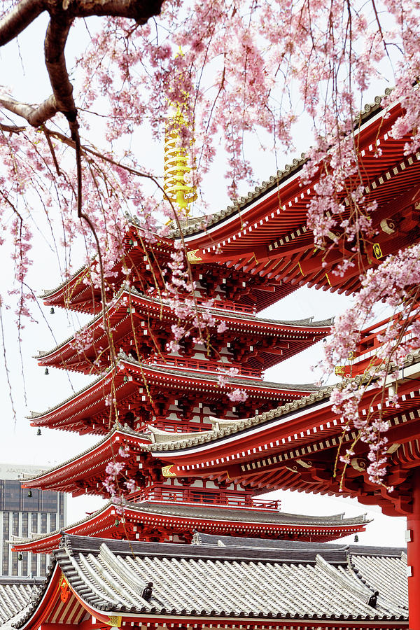 Japan Rising Sun Collection - Senso-Ji Temple I I by Philippe HUGONNARD