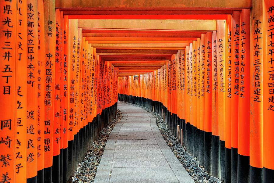 Japan Rising Sun Collection - Torii Gates Photograph by Philippe ...