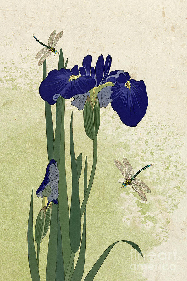 Japanese Asian Influence Iris with Dragonflies Collage Painting by Audrey Jeanne Roberts