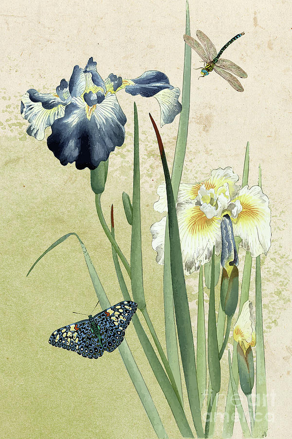 Japanese Asian Influence Irises with Butterfly and Dragonfly Painting by Audrey Jeanne Roberts