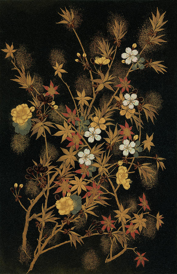 Japanese Autumn Flowers Drawing