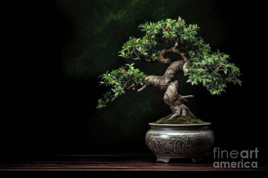 Japanese bonsai tree in ceramic pot. Traditional tree with red berries, over dark background  Digital Art by Jane Rix