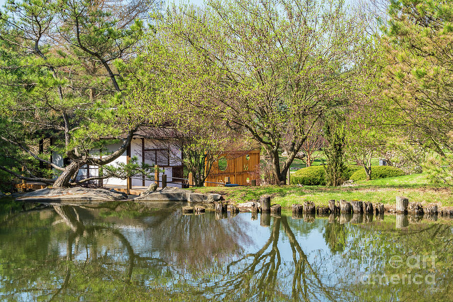 Japanese Botanical Reflections Photograph by Jennifer White