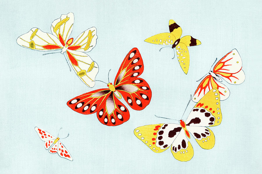 Japanese Butterfly by Kamisaka Sekka Painting by Bob Pardue