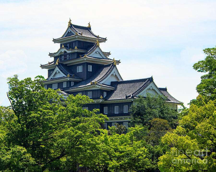 Japanese Castle in Okayama. Photograph by L Bosco