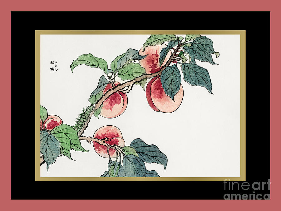 Japanese Caterpillar Digital Art by Gail Coleman Fine Art America