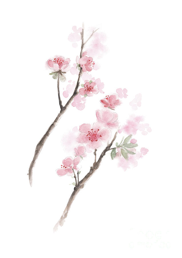 Japanese Cherry Blossom Poster, Sakura Flower Print, Cherry Blossom Art ...