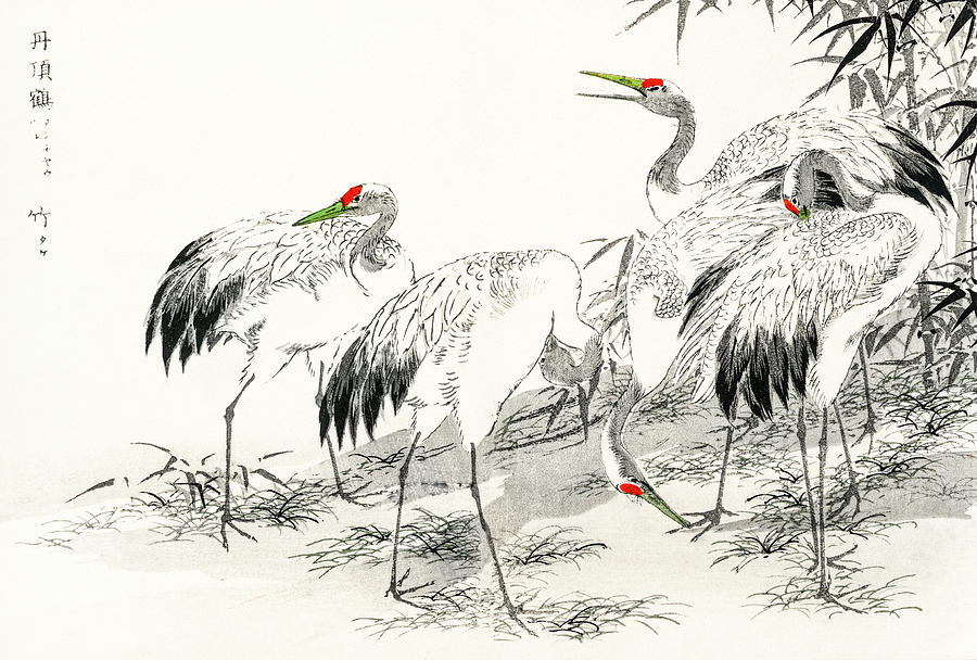 Crane Drawing - Japanese Crane and Bamboo by Numata Kashu