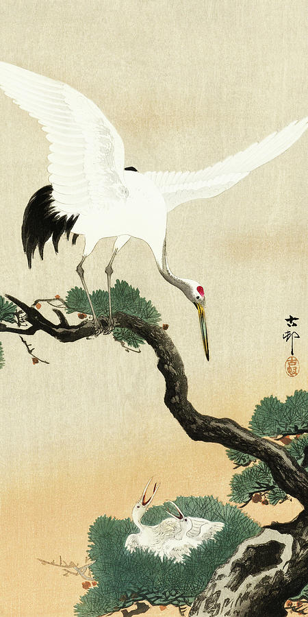 Ohara Koson Painting - Japanese crane bird on branch of pine by Ohara Koson