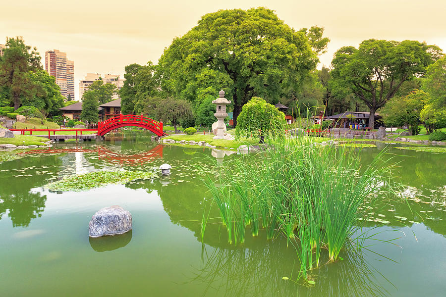 Japanese garden 2 Photograph by Giovanni Allievi