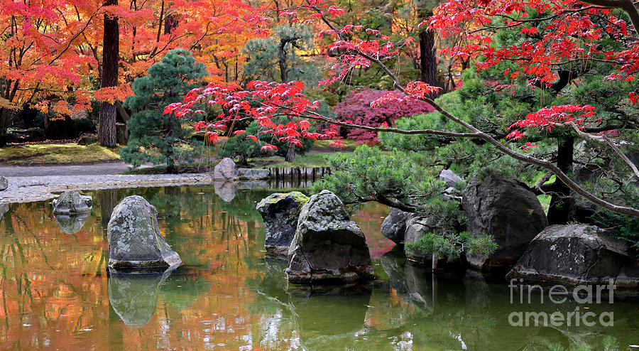 Japanese Garden Autumn Splendor Photograph by Carol Groenen
