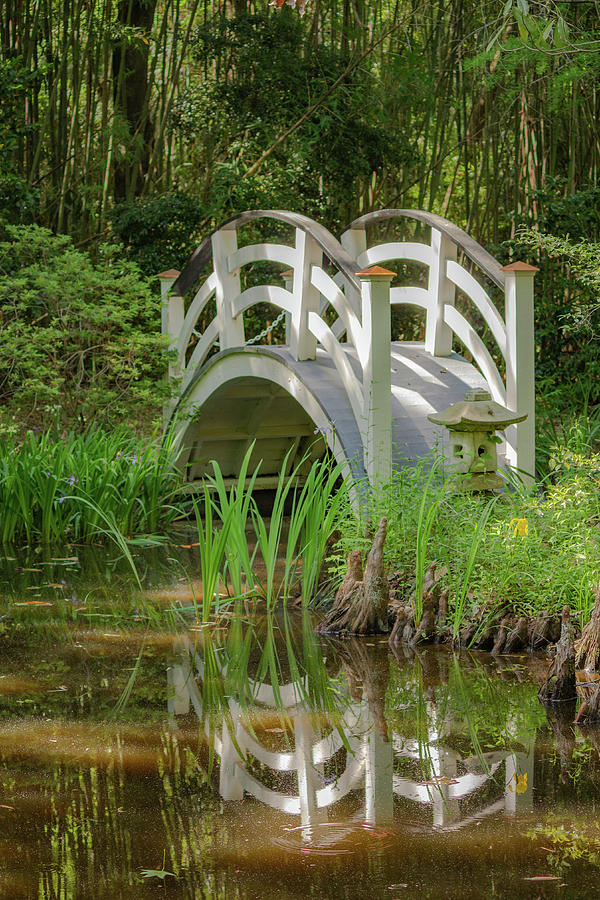 Japanese Garden Bridge Photograph by Cindy Robinson