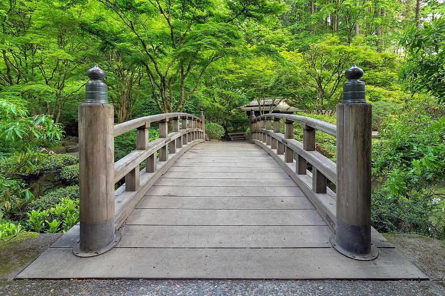Japanese Garden Bridge Photograph by David Gn Photography