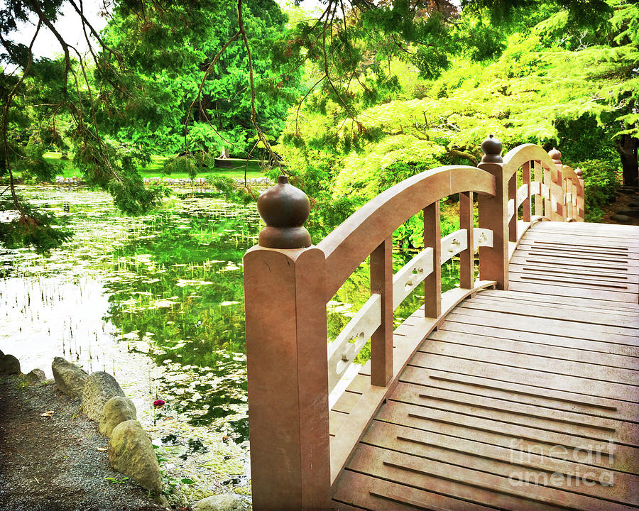 Japanese Garden Bridge in BC Photograph by Maria Janicki