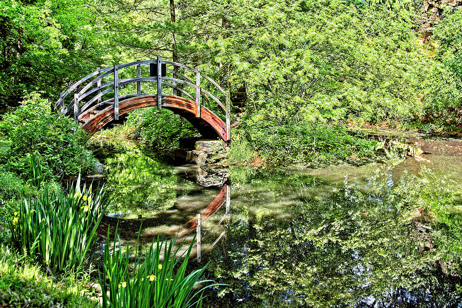 Japanese Garden Bridge Photograph by Marcia Colelli - Pixels