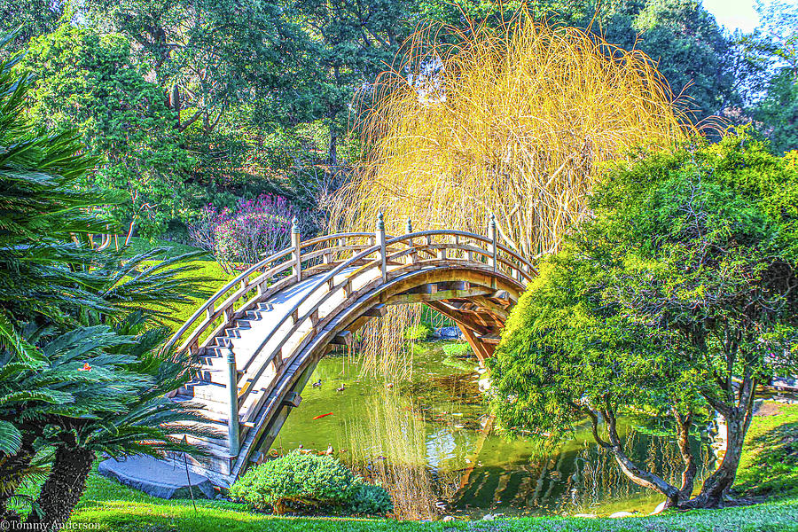 Japanese Garden Bridge Photograph by Tommy Anderson