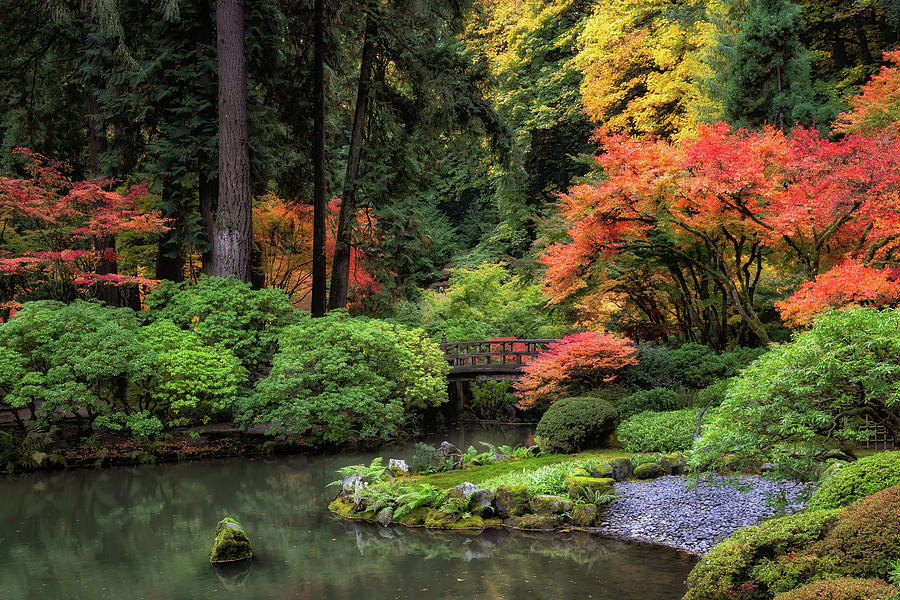 Japanese Garden Photograph by Chuck Rasco Photography