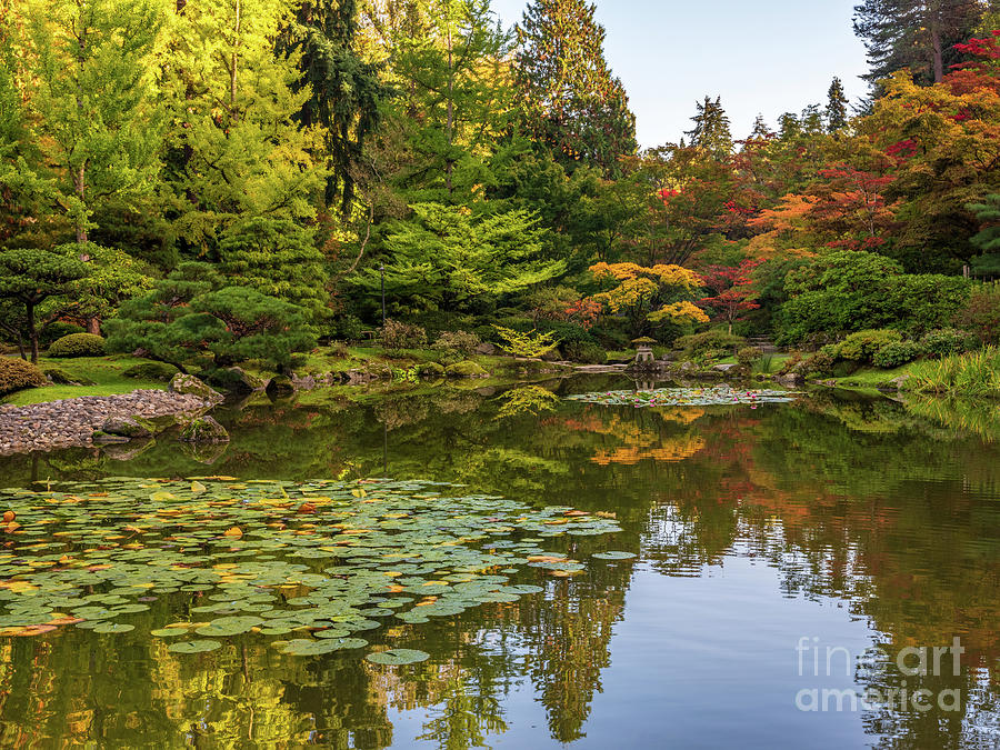 Japanese Garden Fall Colors Beauty Reflection Photograph by Mike Reid ...