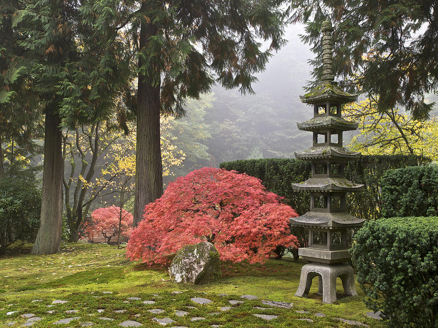 Japanese Garden Fall Colors Sapporo Pagoda Lantern Portland Oregon Photograph by GarysFRP