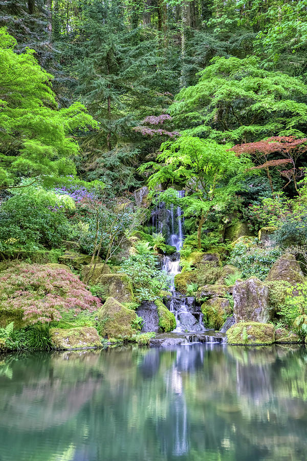 Japanese Garden Falls Photograph by Loyd Towe Photography