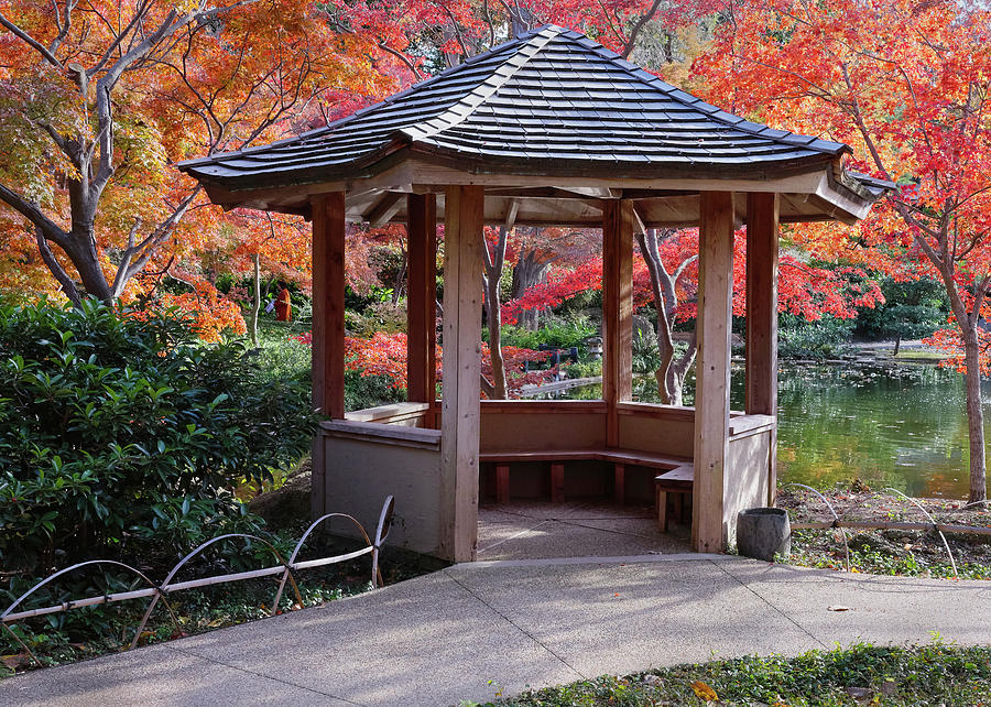 Japanese Garden Fort Worth Ambers V1 1119 by Rospotte Photography Japanese Garden Fort Worth Ambers V1 1119 by Rospotte Photography