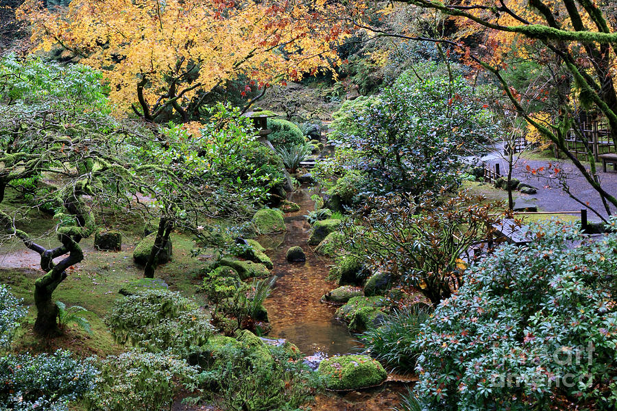 Japanese Garden Gold And Green Photograph