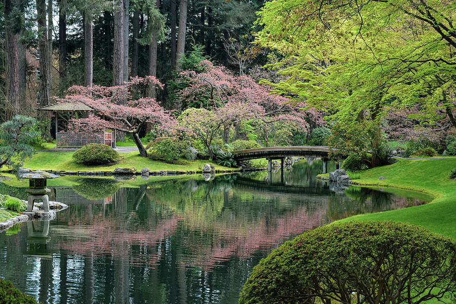 Japanese Garden in Bloom Photograph by Liz Albro