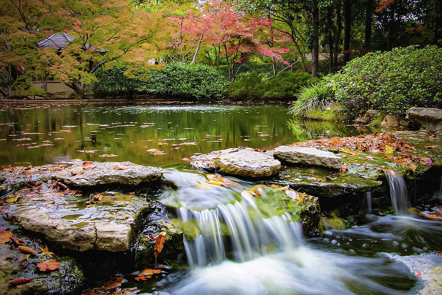 Japanese Garden in Fall Photograph by Pam Rendall