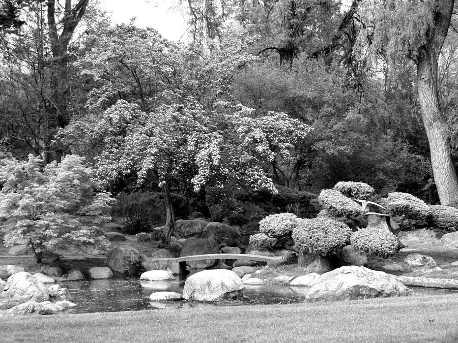 Japanese Garden In Polson Park Photograph by Will Borden