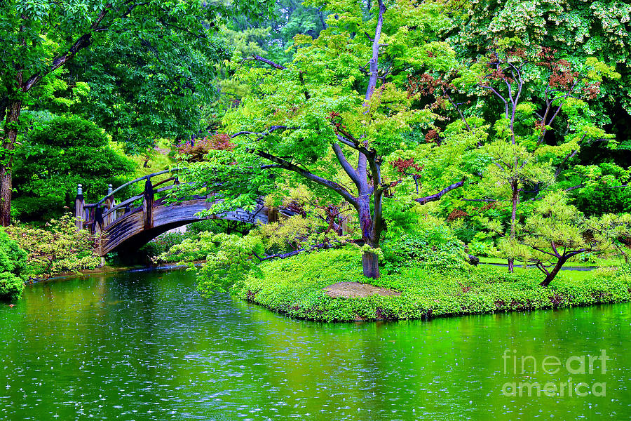 Japanese Garden in the Rain Photograph by Craig Wood