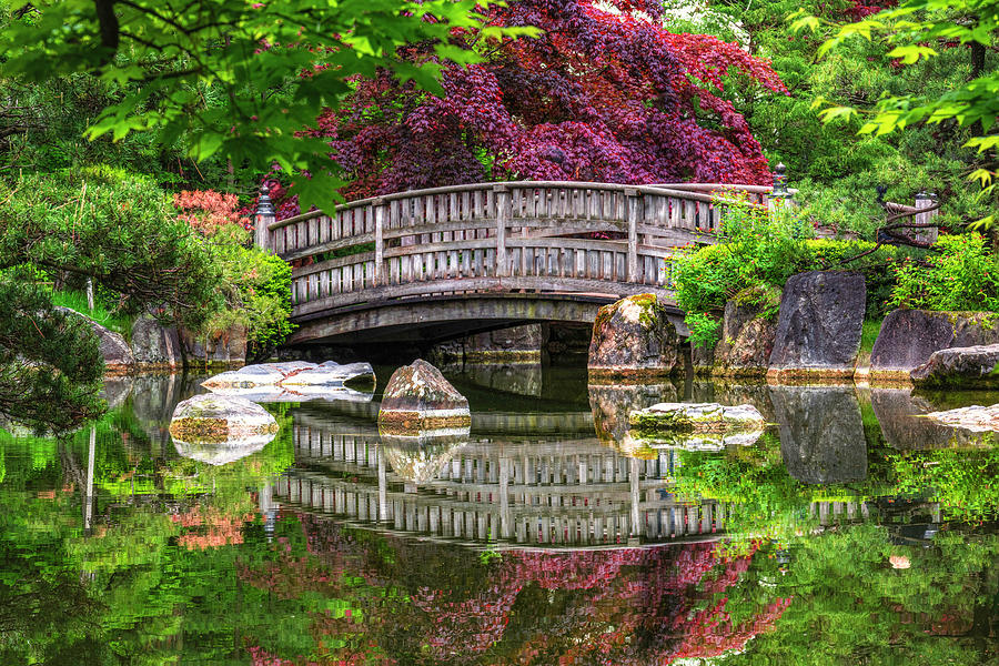 Japanese Garden, Manito Park Washington Photograph by Michael Ash