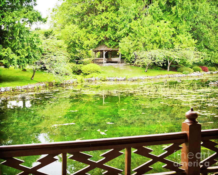 Japanese Garden Pond in BC Photograph by Maria Janicki