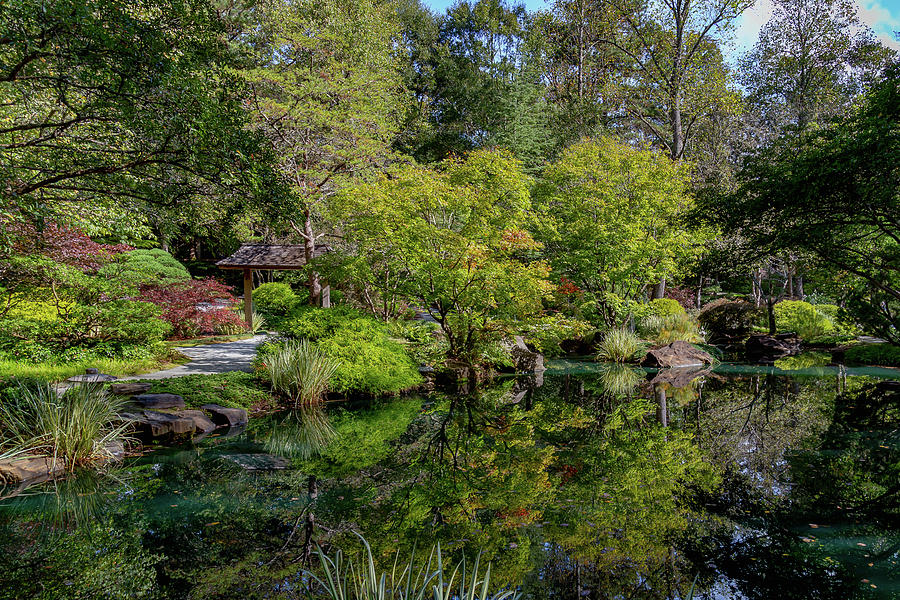 Japanese Garden Reflection 2 Photograph by Cindy Robinson