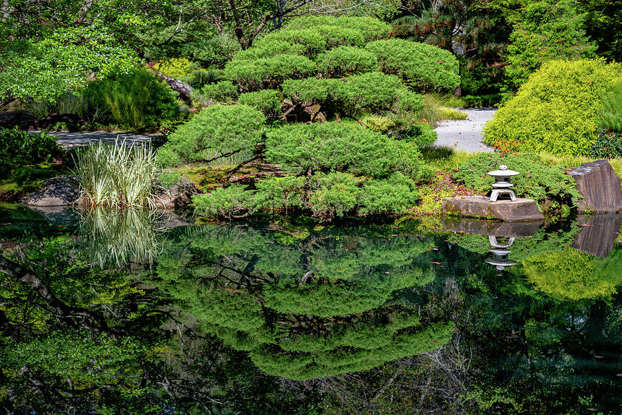Japanese Garden Reflection 3 Photograph by Cindy Robinson