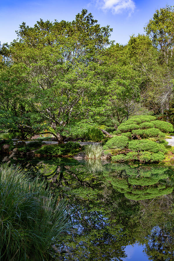Japanese Garden Reflection Photograph by Cindy Robinson