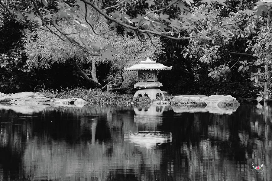 Japanese Garden Reflection Photograph by Pam Rendall