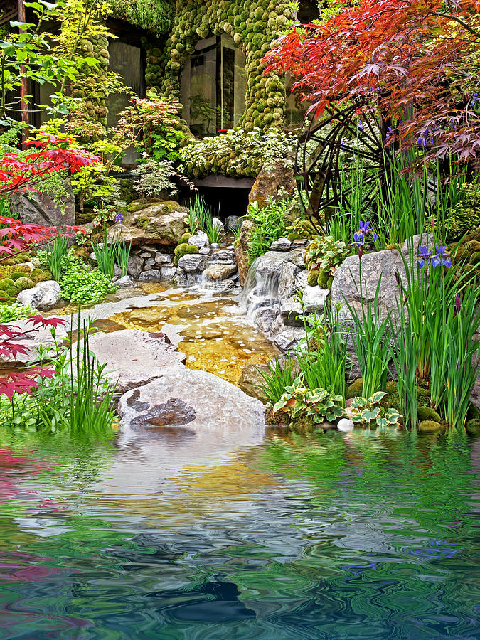 Japanese Garden Reflections Photograph by Gill Billington
