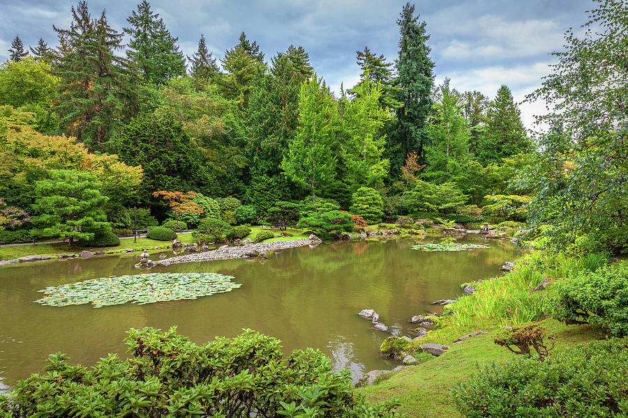 Seattle Photograph - Japanese Garden by Rick Seymour