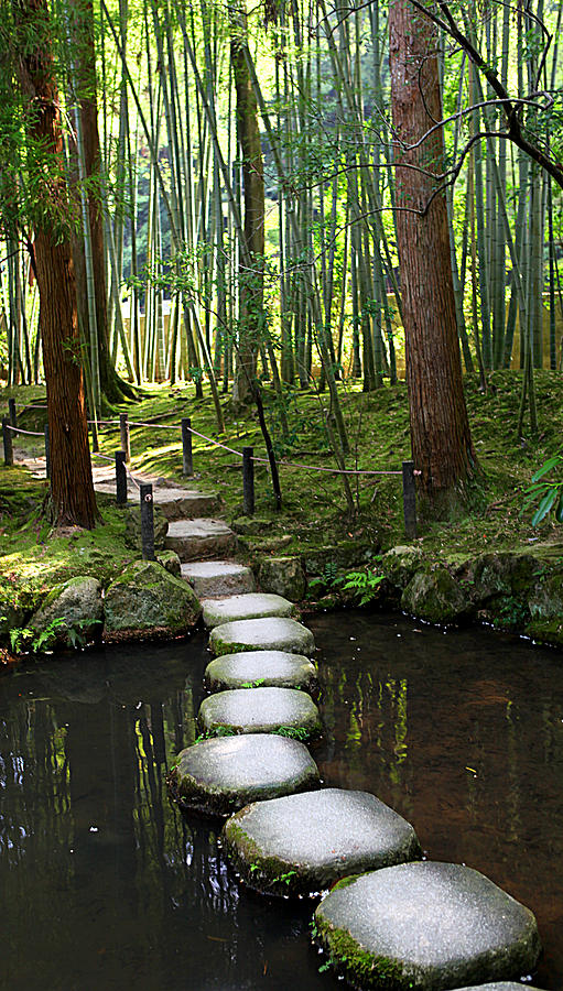 Japanese garden stone path over pond Photograph by Aaron Webb