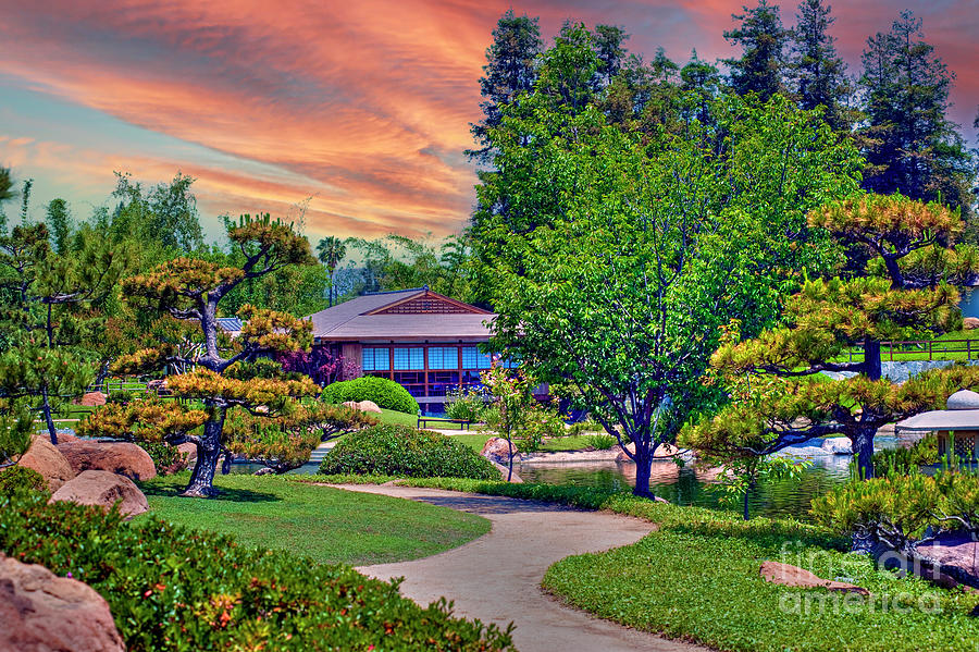Japanese Garden Walkway Photograph