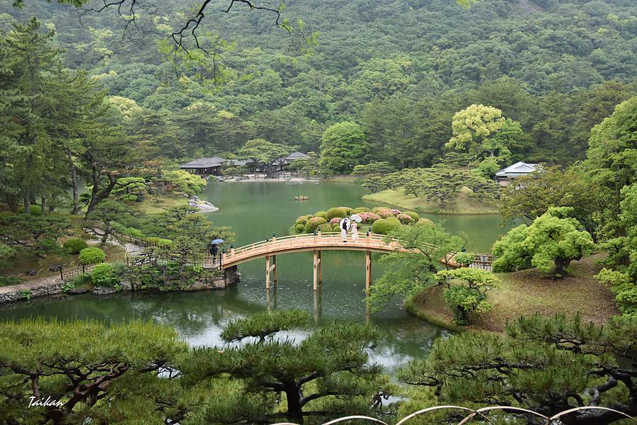Japanese Garden, Ritsurin-Koen  Photograph by Taikan Nishimoto