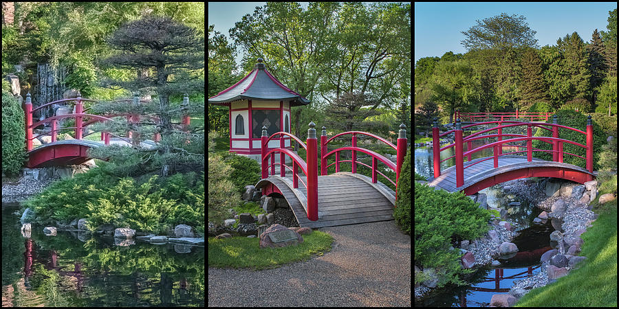 Japanese Garden Triptych Photograph by Patti Deters