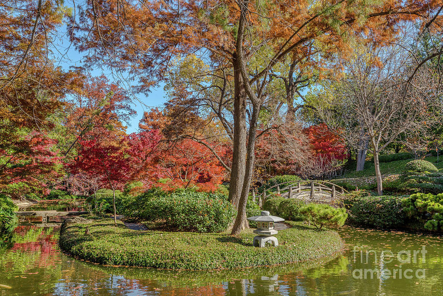 Japanese Gardens 2 Photograph by Paul Quinn