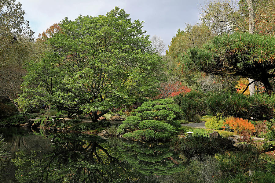 Japanese Gardens 3 Photograph by Richard Krebs