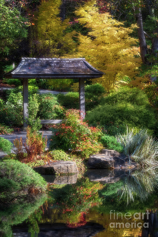 Japanese Gardens Photograph by Doug Sturgess