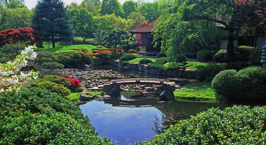 Japanese Gardens in Fairmont Park Photograph by Blair Seitz