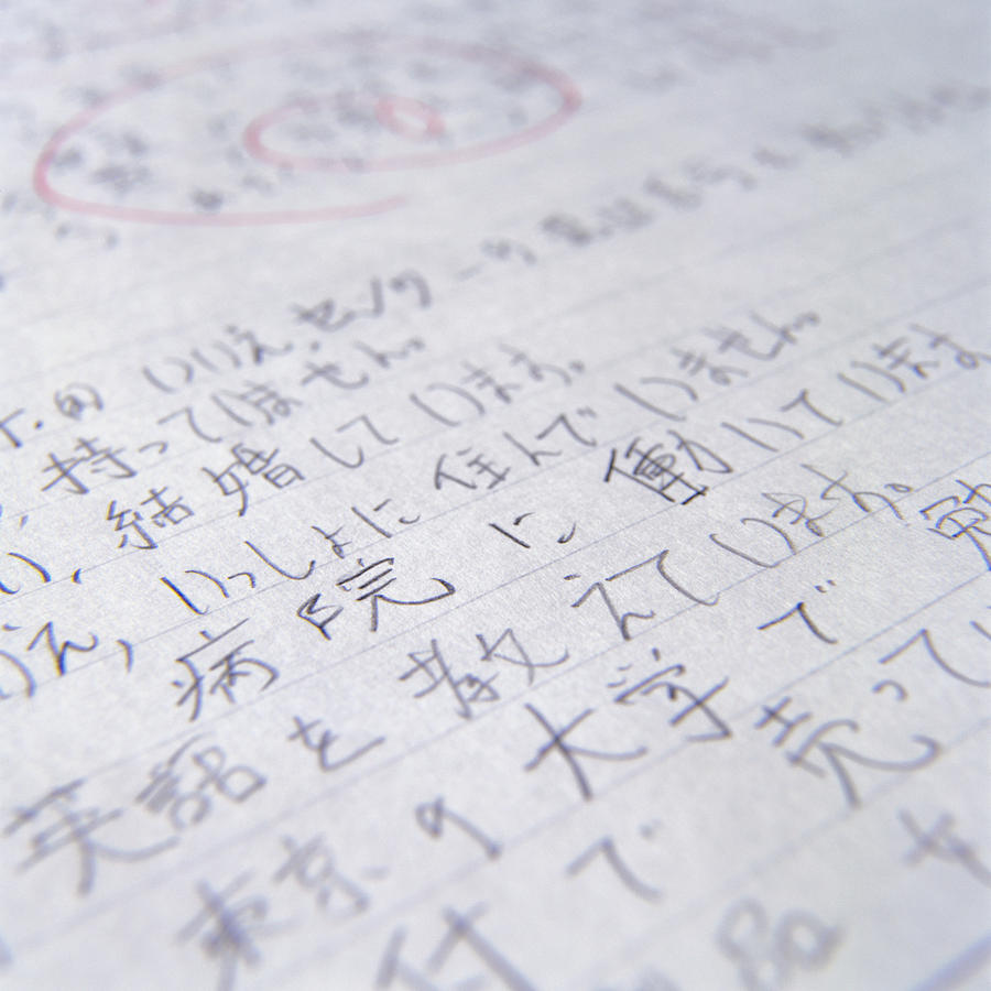 Japanese Homework Photograph by Ryan McVay