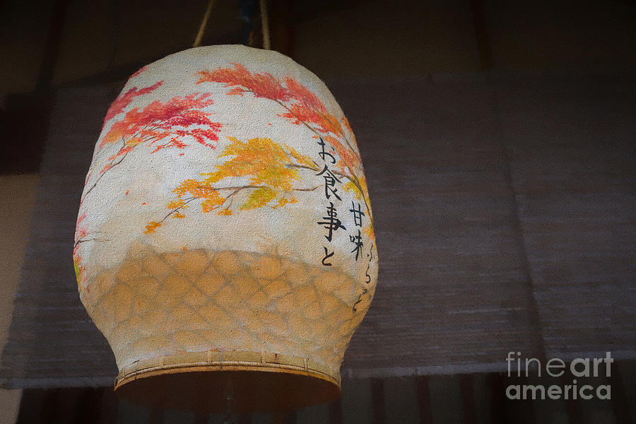 Japanese Lantern Photograph by Eva Lechner