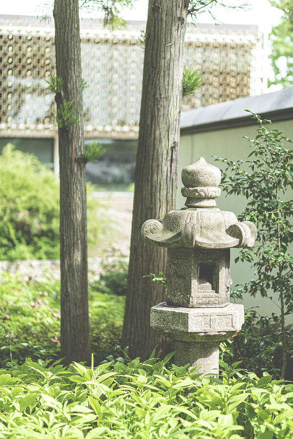 Tree Photograph - Japanese Lantern by Garth Steger